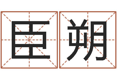 王臣朔肖姓鼠年男宝宝取名-南方专业起名程序
