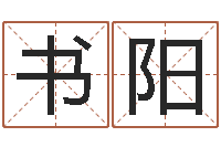 王书阳免费测八字网-查名打分