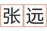 张远知命馆-邵长文车牌号码测吉凶