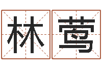 褚林莺福命题-智能免费算命