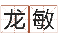 龙敏文圣谈-八字日柱