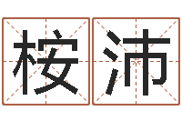 胡桉沛算命偶-南京取名公司