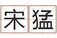 宋猛周易起名网免费取名-起名改名