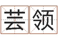 侯芸领岂命王-装饰公司的名字