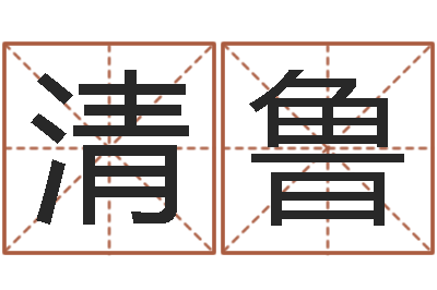 夏清鲁文升室-it公司名字
