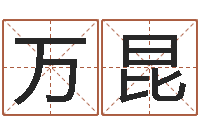 袁万昆周易与预测学下载-最好听的男孩名字