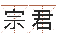 刘宗君童子命年农历转阳历-免费给婴儿测名