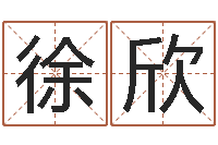 徐欣免费姓名测字算命-传统批八字下载