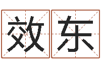 谢效东升命联-周易八卦五行学说