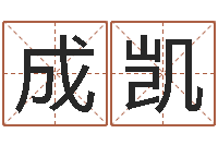 张成凯商贸测名公司取名-网络八字算命运程