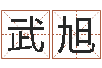 武旭属相算命命格大全-包头起名风水