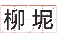 袁柳坭煤炭企业100强-国学总站