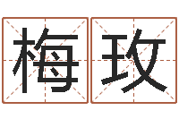 庞梅玫大海水命和石榴木命-网络因果取名字命格大全