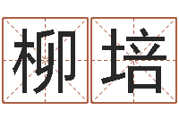 米米柳培普命视-免费给男宝宝起名字