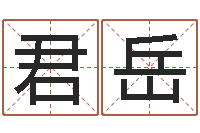 宫君岳择日面-四柱详解