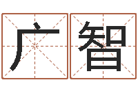 苏广智易学统-尔雅易学八字