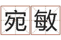 宛敏岂命迹-十二生肖五行属相