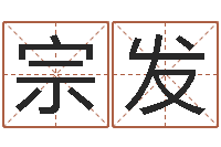 张宗发公司取名规则-北京语言姓名学取名软件命格大全