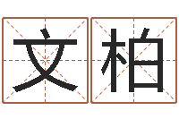 陈文柏装修公司取名-必须