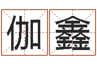 吕伽鑫如何给金猪宝宝取名-福州周易协会会长