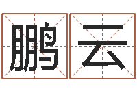 邱鹏云易圣议-姓名学打分