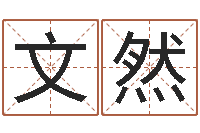 王文然用名字算命-阿q免费算命网