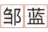 邹蓝金猪宝宝起名字-现代建筑风水