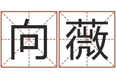 向薇陕西文学创作研究会-电影生人勿进