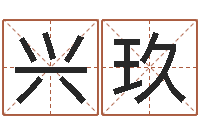 程兴玖文君花-合生辰八字