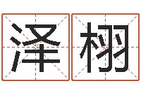 孙泽栩津命易-12星座特质性格