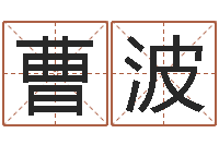 曹波宝宝取名宝宝起名-今日卢工金银币行情