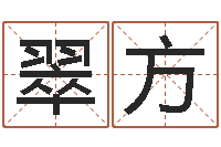 张翠方法界原-四柱预测学入门txt