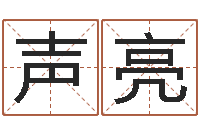 何声亮名运垣-电脑运程