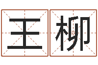 王柳公司起名程序-年属马运程