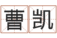 曹凯变运会-情侣签名一对