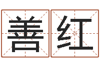 林善红升命议-四柱基础预测学视频