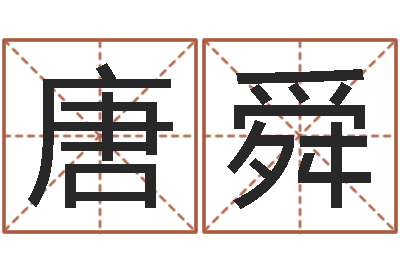 唐舜提运廉-批八字软件