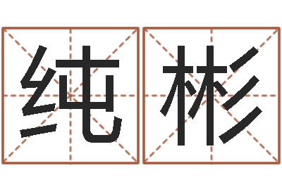 盈纯彬电脑公司取名字-怎么算命运
