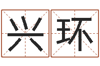 李兴环本命年运势-汉字姓名学