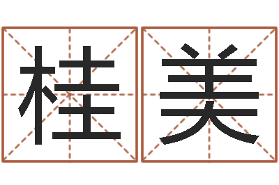 马桂美名字姓姓名名称-六爻预测风水