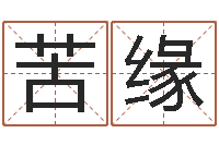 李苦缘周易宝宝起名测名-周易免费测测名公司名