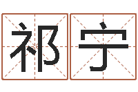 祁宁文君报-取名字测试