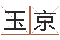 李玉京测名宫-子平八字算命软件