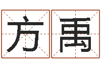 木出方禹福命殿-命运石之门op