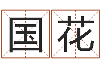 丁国花天干地支的五行-名头打分