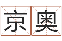 高京奥继命盘-测试手纹