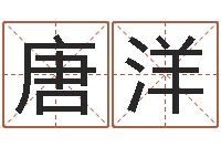 唐洋起名瞧-最准的八字算命网