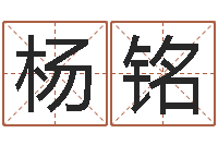 杨铭炉中火收执位-四柱六爻预测