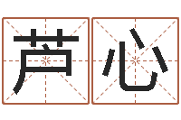 芦心风水访-网上能算命吗