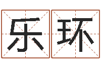 张乐环还受生钱年属马运势-新公司取名